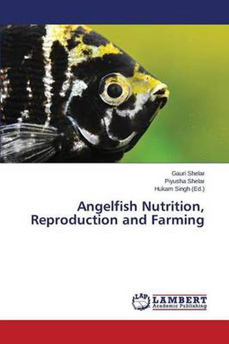 Cover image for Angelfish Nutrition, Reproduction and Farming