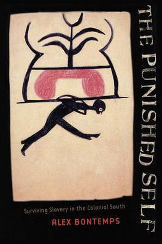 Cover image for The Punished Self: Surviving Slavery in the Colonial South