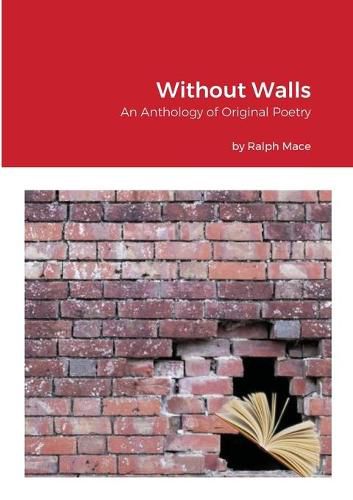 Cover image for Without Walls