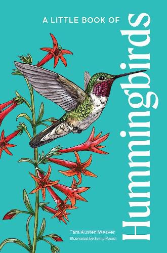 Cover image for A Little Book of Hummingbirds