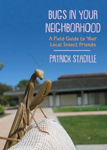 Cover image for Bugs in Your Neighborhood