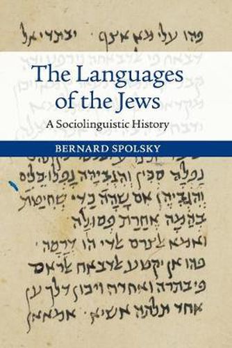 Cover image for The Languages of the Jews: A Sociolinguistic History