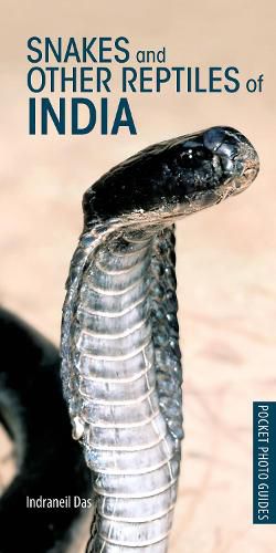 Cover image for Snakes and Other Reptiles of India