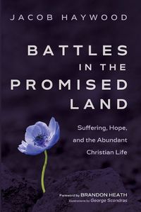 Cover image for Battles in the Promised Land