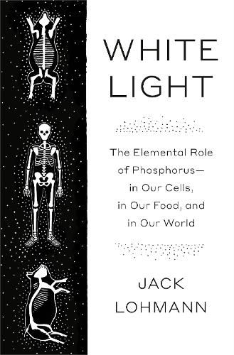 Cover image for White Light