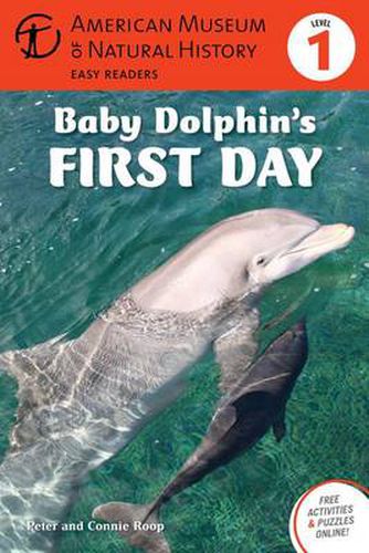 Cover image for Baby Dolphin's First Day: (Level 1)