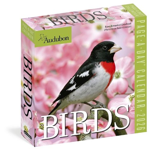 Cover image for Audubon Birds Page-A-Day (R) Calendar 2026