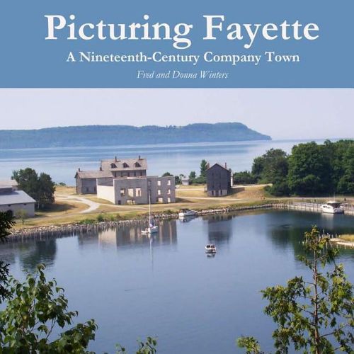 Cover image for Picturing Fayette