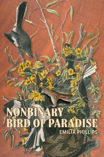 Cover image for Nonbinary Bird of Paradise