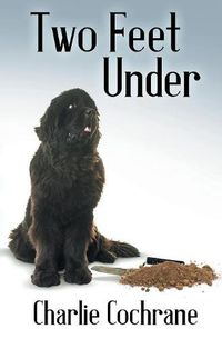 Cover image for Two Feet Under