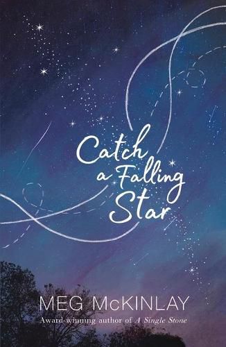 Cover image for Catch a Falling Star