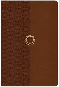 Cover image for CSB Essential Teen Study Bible, Walnut LeatherTouch