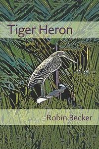 Cover image for Tiger Heron