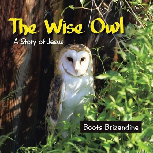 Cover image for The Wise Owl: A Story of Jesus