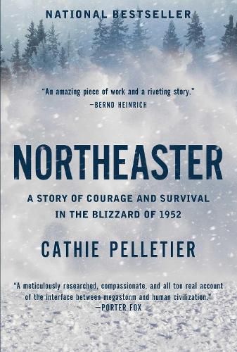Cover image for Northeaster