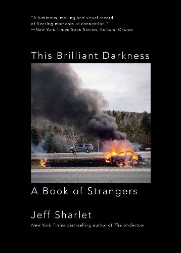 Cover image for This Brilliant Darkness