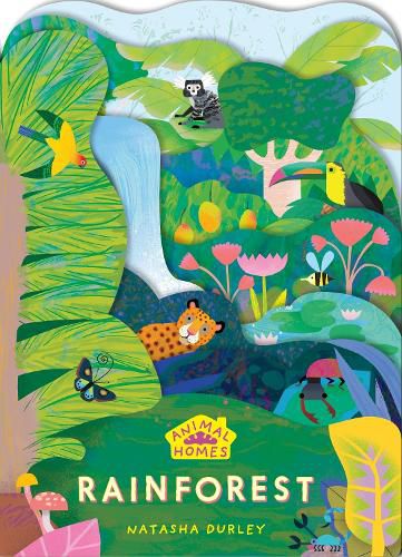 Cover image for Animal Homes: Rainforest