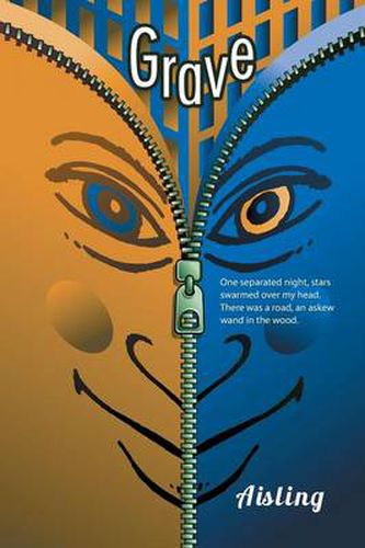 Cover image for Grave