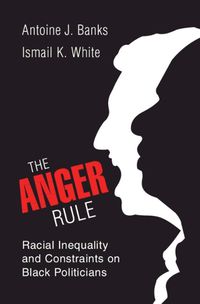 Cover image for The Anger Rule