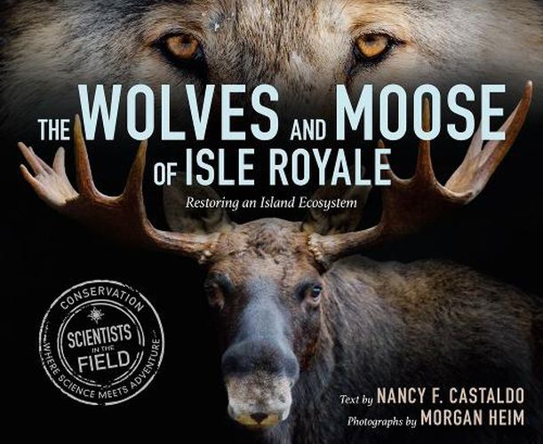 Cover image for The Wolves and Moose of Isle Royale: Restoring an Island Ecosystem