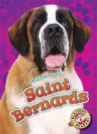 Cover image for Saint Bernards