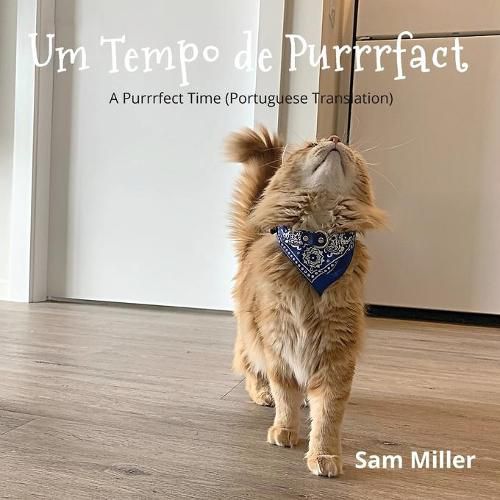 Cover image for Um Tempo de Purrrfact