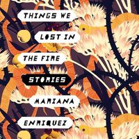 Cover image for Things We Lost in the Fire: Stories
