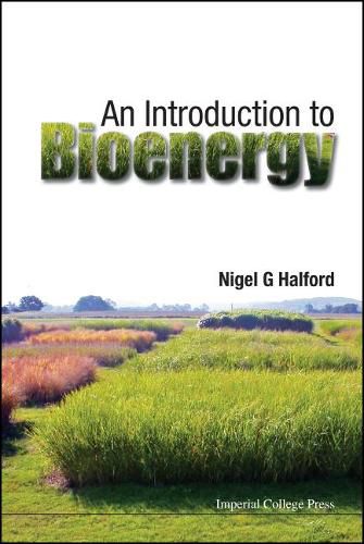 Cover image for Introduction To Bioenergy, An