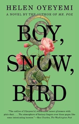 Cover image for Boy, Snow, Bird: A Novel