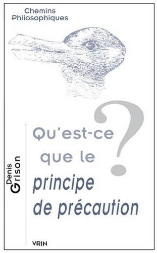 Cover image for Qu'est-Ce Que Le Principe de Precaution?