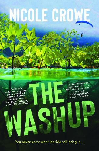 Cover image for The Washup
