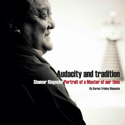 Cover image for Audacity and Tradition: Portrait of a Master of our Time