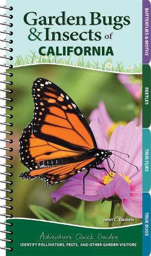 Cover image for Garden Bugs & Insects of California: Identify Pollinators, Pests, and Other Garden Visitors