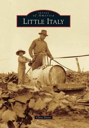 Cover image for Little Italy