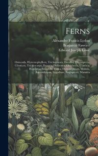 Cover image for Ferns