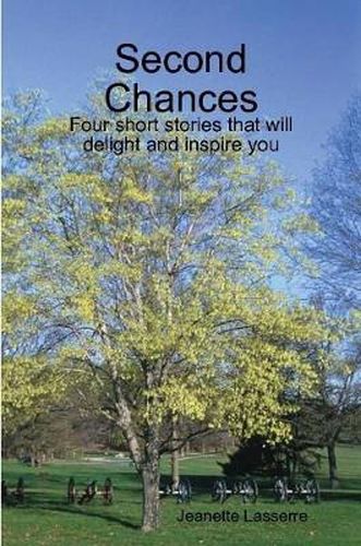 Cover image for Second Chances