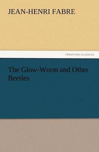 Cover image for The Glow-Worm and Other Beetles