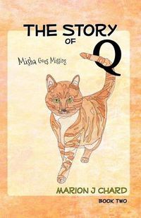 Cover image for The Story of Q - Misha Goes Missing