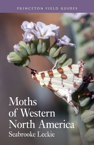 Cover image for Moths of Western North America