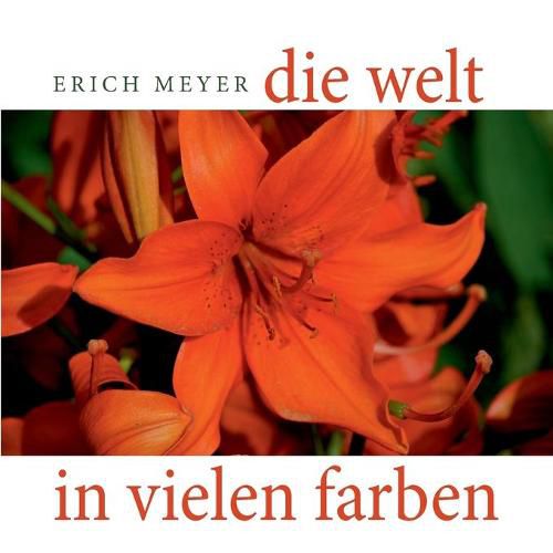 Cover image for Die Welt in vielen Farben