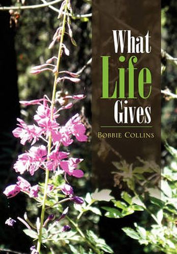 Cover image for What Life Gives