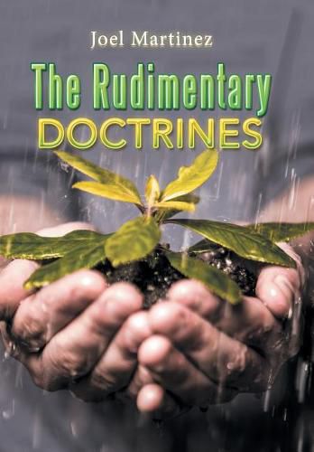 The Rudimentary Doctrines, Joel Martinez (9781543429077) — Readings Books