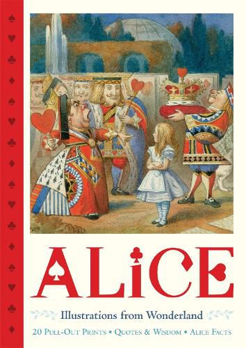 Cover image for Alice Pull-Out Prints