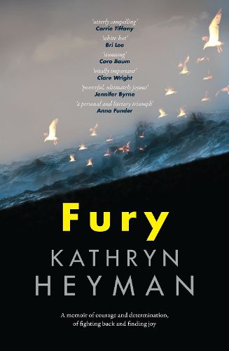 Cover image for Fury