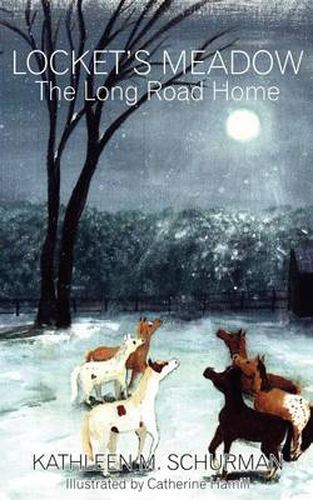 Cover image for Locket's Meadow: The Long Road Home