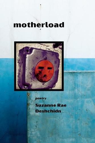 Cover image for motherload