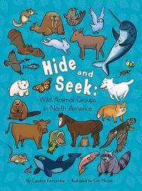 Cover image for Hide and Seek