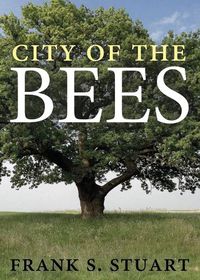 Cover image for City of the Bees