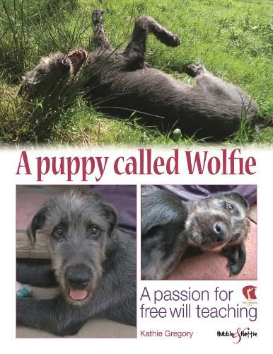 Cover image for A puppy called Wolfie: A passion for free will teaching