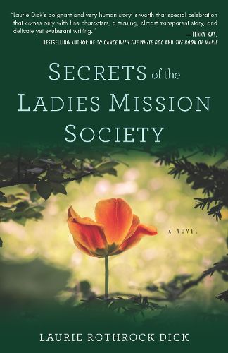 Cover image for Secrets of the Ladies Mission Society